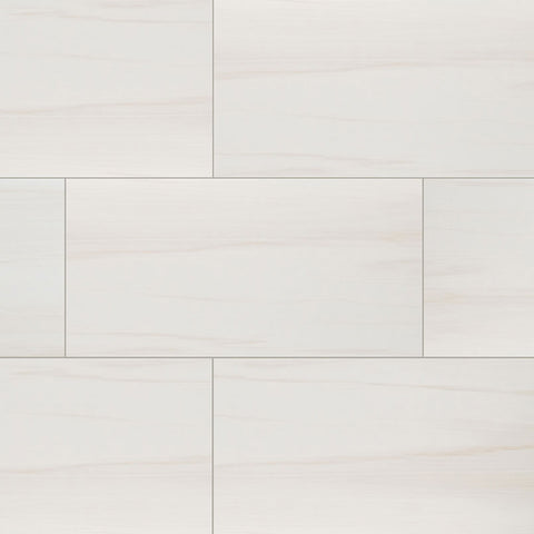 EDEN PORCELAIN TILE COLLECTION DOLOMITE - 24"x48" POLISHED Swatch