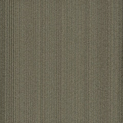 Shaw Carpet Tile Practical Effective Swatch