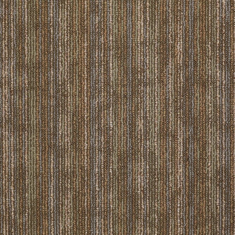 Shaw Carpet Tile Hook Up Energize Swatch