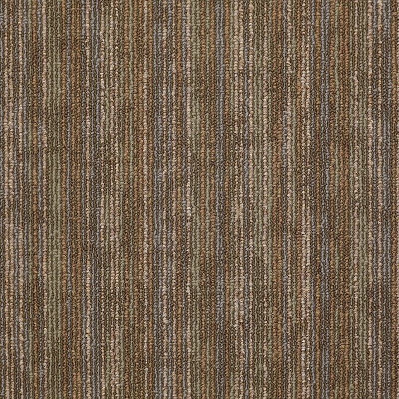 Shaw Carpet Tile Hook Up Energize