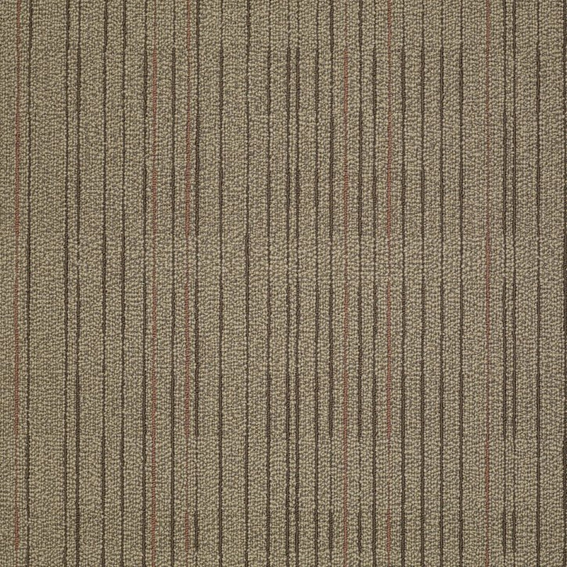 Shaw Carpet Tile Immerse Engross