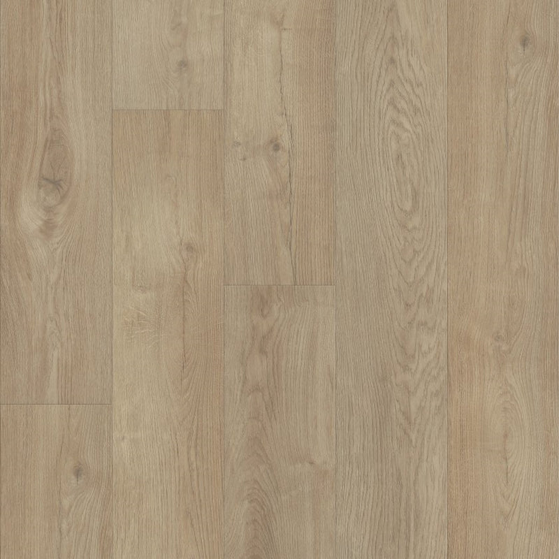 Shaw Floorte Titan HD Plus Platinum Essential White