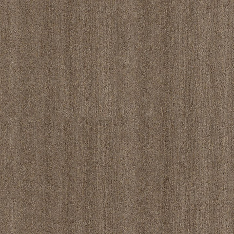 Shaw Carpet Tile Profusion Tile Excess Swatch