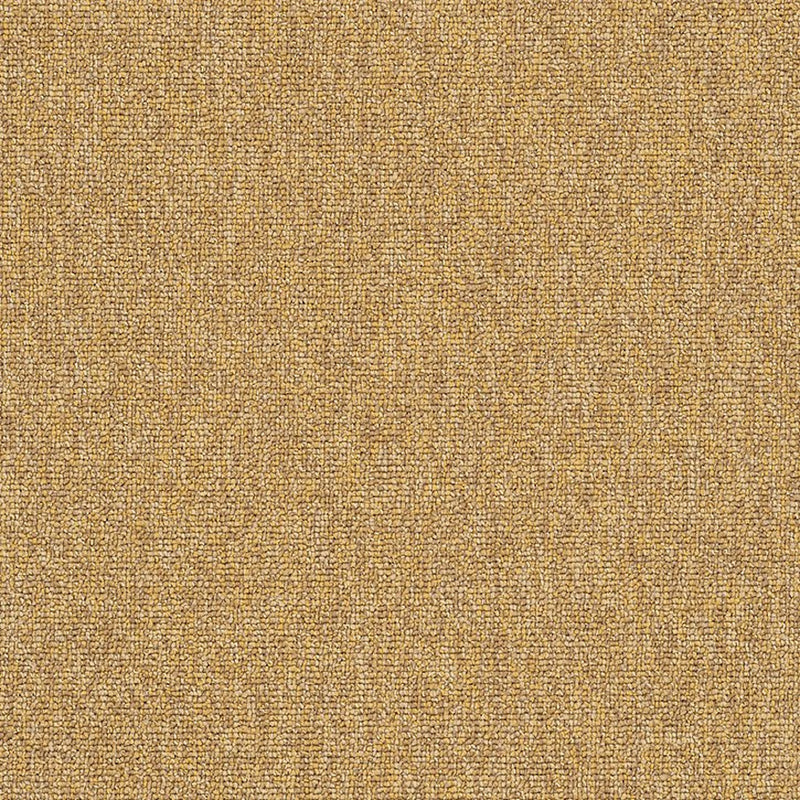 Shaw Carpet Tile Multiplicity Expansive