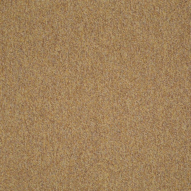 Shaw Carpet Tile Multiplicity  Expansive 24”