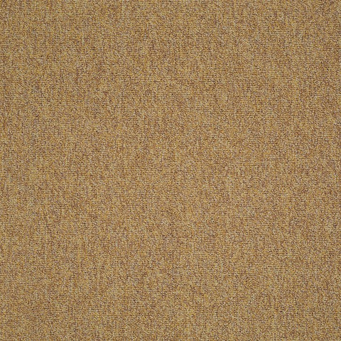 Shaw Carpet Tile Multiplicity  Expansive 24” Swatch