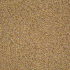 Shaw Carpet Tile Multiplicity  Expansive 24” Swatch