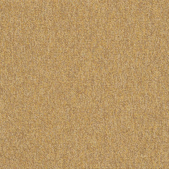 Shaw Carpet Tile Multiplicity Expansive Swatch