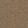 Shaw Carpet Tile Multiplicity Exuberance Swatch