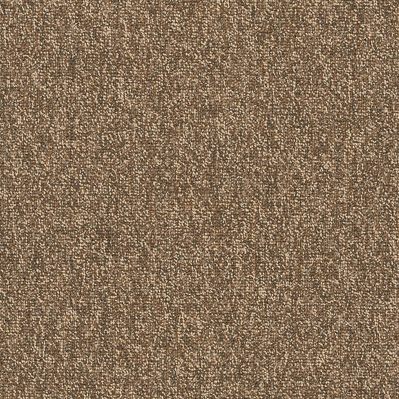 Shaw Carpet Tile Multiplicity Exuberance