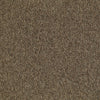 Shaw Carpet Tile Multiplicity Exuberance 24” Swatch