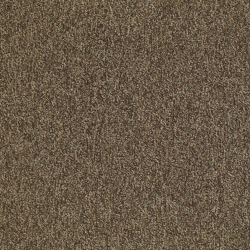 Shaw Carpet Tile Multiplicity Exuberance 24”