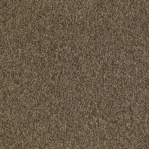 Shaw Carpet Tile Multiplicity Exuberance 24” Swatch