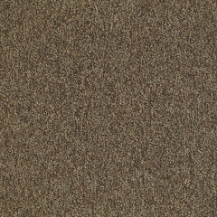 Shaw Carpet Tile Multiplicity Exuberance 24” Swatch