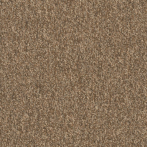 Shaw Carpet Tile Multiplicity Exuberance Swatch
