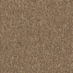 Shaw Carpet Tile Multiplicity Exuberance Swatch