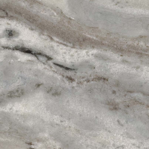 Marble Tile Collection Fantasy Brown 12"x24" Swatch