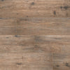 Arterra Porcelain Paver Fauna 8"x47" Swatch