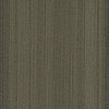 Shaw Carpet Tile Practical Feasible Swatch