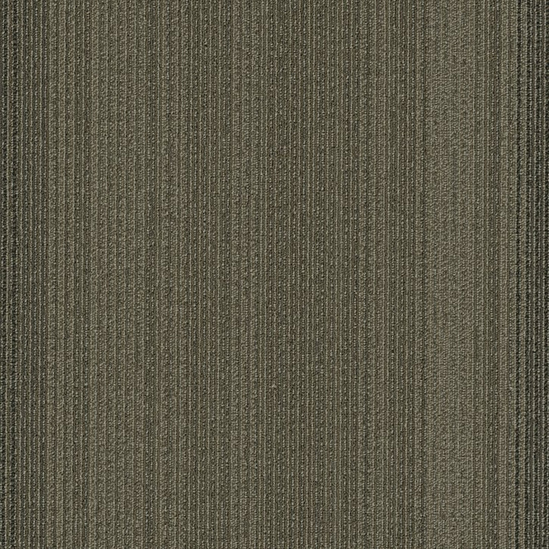 Shaw Carpet Tile Practical Feasible