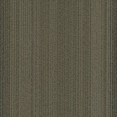 Shaw Carpet Tile Practical Feasible Swatch