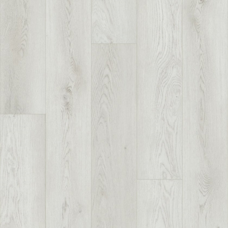 Shaw Paladin Plus Feather Grey