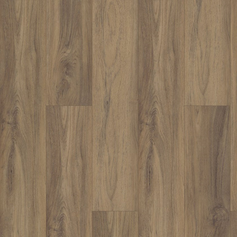 Shaw Pantheon HD Plus Fiano
