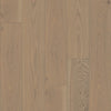 Shaw Expressions 9.5" Finesse Swatch
