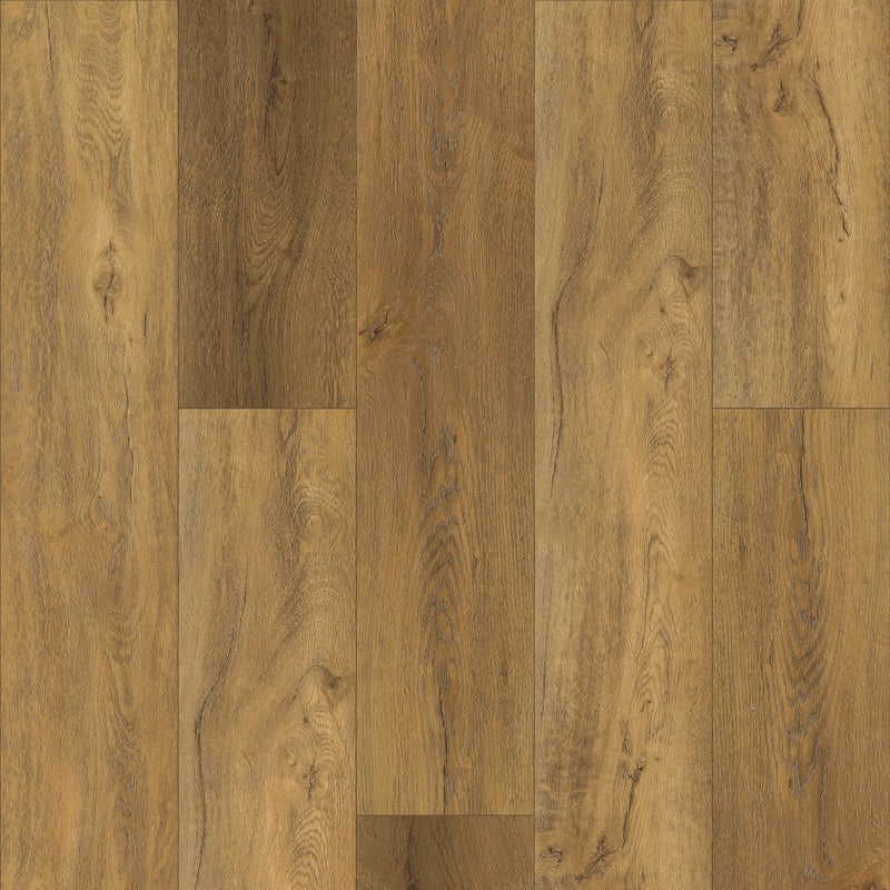 Shaw Pantheon HD Plus Foresta