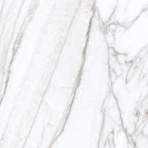 Tile Collection Jem 24x48 Tile Forte White Rectified