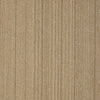 Shaw Carpet Tile Lucky Break Fortunate Swatch