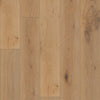 Shaw Expressions 9.5" Fresco Swatch