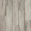 Shaw Endura 512C Plus Fresh Driftwood Swatch