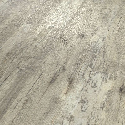 Shaw Endura 512C Plus Fresh Driftwood