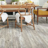 Shaw Endura 512C Plus Fresh Driftwood