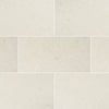 MSI - Pavers - Mayra White 16x24 Swatch