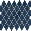 Galaxy Harlequin Glossy
