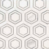 Marble Tile Collection Bianco Dolomite Georama Grigio Swatch