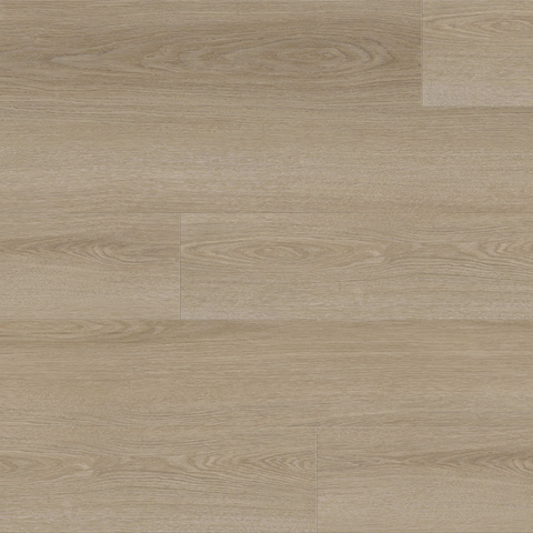 Metroflor Provident Public Glenn View Swatch