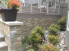 MSI Ledgestone Veneer - Golden Honey Corner - Split Face Outdoor Scene