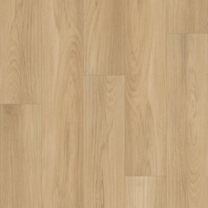 Shaw Distinction Plus Golden Timber
