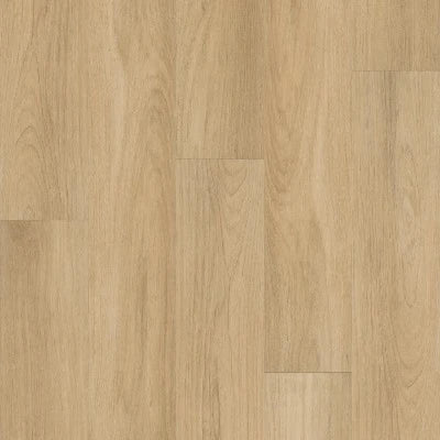 Shaw Distinction Plus Golden Timber