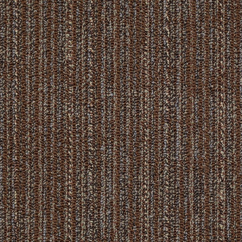 Shaw Carpet Tile Mesh Weave Graphite