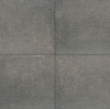 MSI - Pavers - Gray Mist Granite Paver 12x24 Swatch