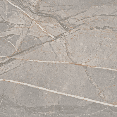 Paramount Tile Amaranto Grey Matte 12" x 24"