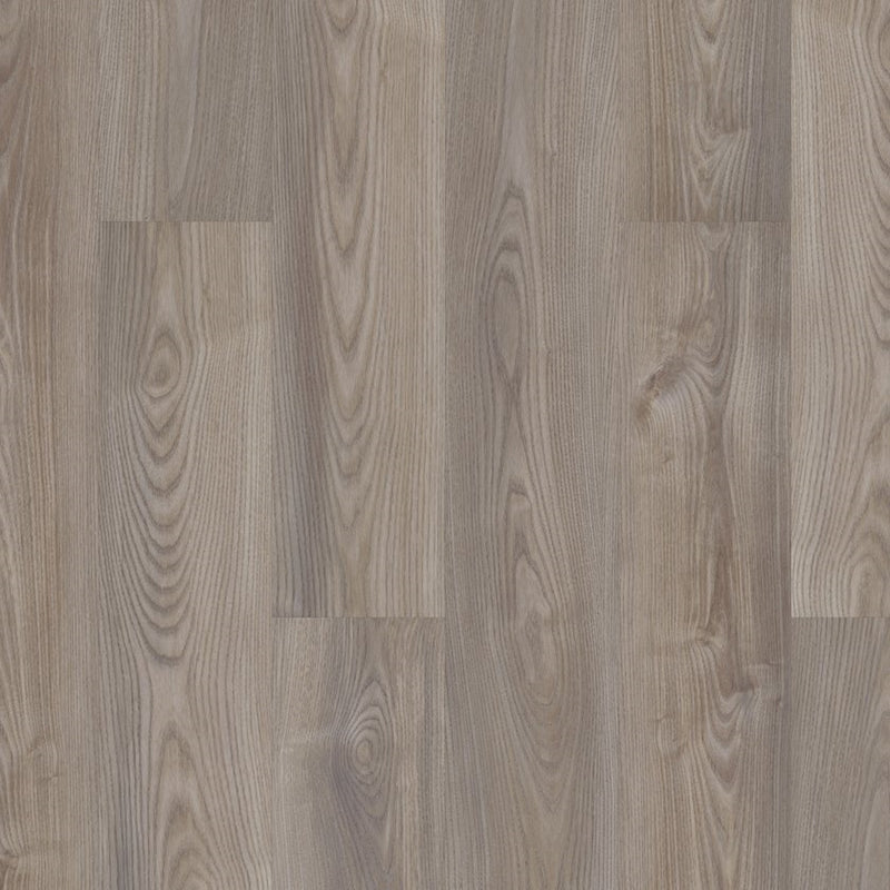 Shaw Anvil Plus 20 Grey Chestnut