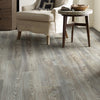 Shaw Anvil Plus Grey Chestnut Room Scene