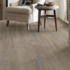 Shaw Anvil Plus 20 Grey Chestnut Room Scene
