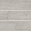 Arterra Porcelain Paver Caldera Grigia - 16"x47" Swatch