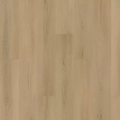 Mohawk Eastbrook Shoals Hampton